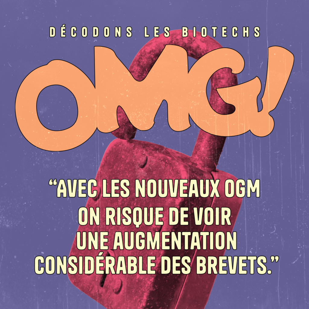 Infogm Ep6 Brevet Square